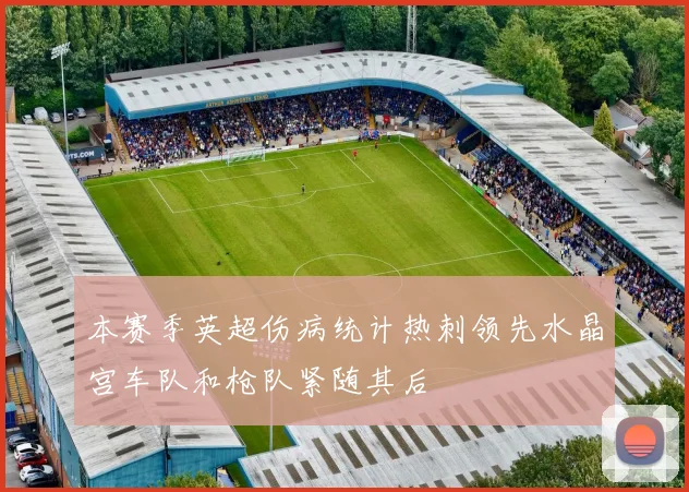 本赛季英超伤病统计热刺领先水晶宫车队和枪队紧随其后