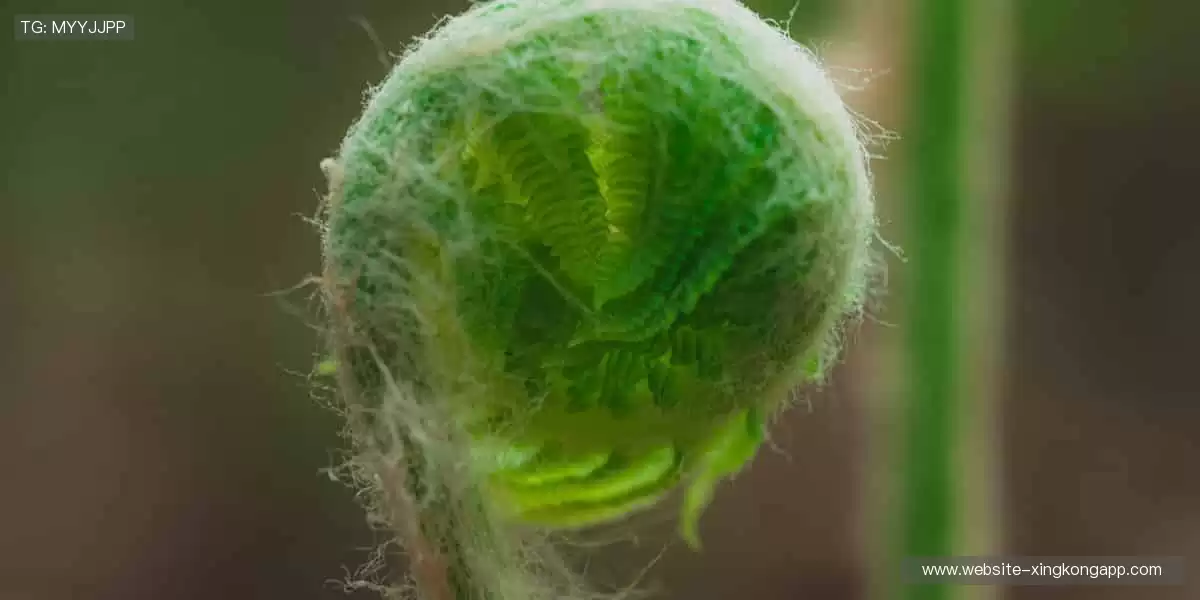 🎮互动直播，弹幕狂欢让观赛更有温度！💬